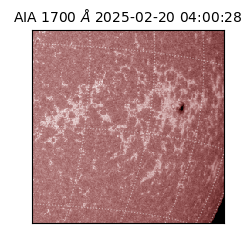 saia - 2025-02-20T04:00:28.727000