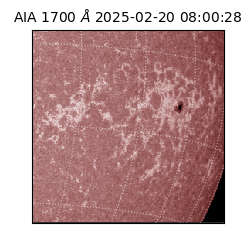 saia - 2025-02-20T08:00:28.717000