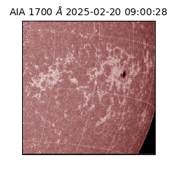 saia - 2025-02-20T09:00:28.717000