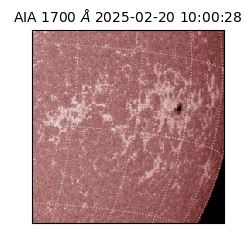 saia - 2025-02-20T10:00:28.717000