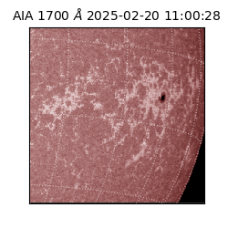 saia - 2025-02-20T11:00:28.717000