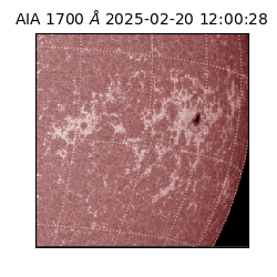 saia - 2025-02-20T12:00:28.730000