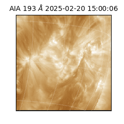 saia - 2025-02-20T15:00:06.936000