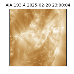 saia - 2025-02-20T23:00:04.843000