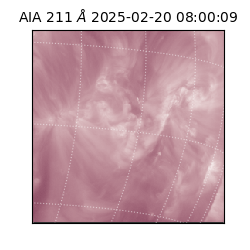 saia - 2025-02-20T08:00:09.630000