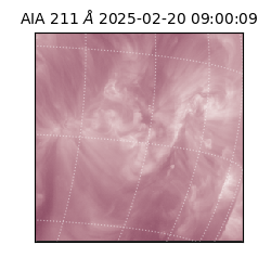 saia - 2025-02-20T09:00:09.630000