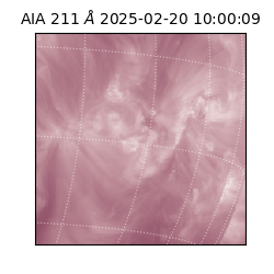 saia - 2025-02-20T10:00:09.629000