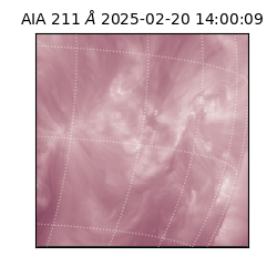 saia - 2025-02-20T14:00:09.623000