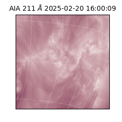 saia - 2025-02-20T16:00:09.626000