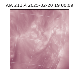 saia - 2025-02-20T19:00:09.625000