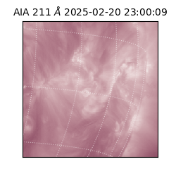 saia - 2025-02-20T23:00:09.626000