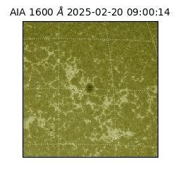 saia - 2025-02-20T09:00:14.125000