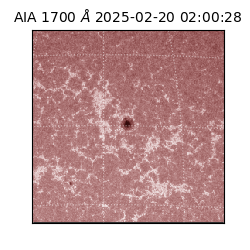 saia - 2025-02-20T02:00:28.748000