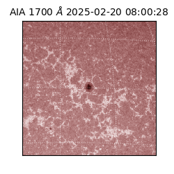 saia - 2025-02-20T08:00:28.717000