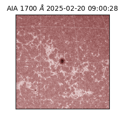 saia - 2025-02-20T09:00:28.717000