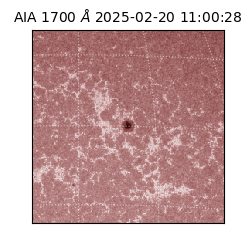 saia - 2025-02-20T11:00:28.717000