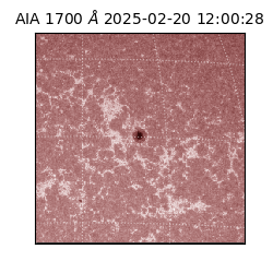 saia - 2025-02-20T12:00:28.730000