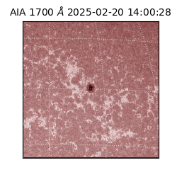 saia - 2025-02-20T14:00:28.717000