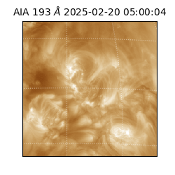 saia - 2025-02-20T05:00:04.843000