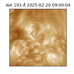 saia - 2025-02-20T09:00:04.843000