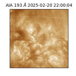 saia - 2025-02-20T22:00:04.843000