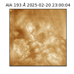 saia - 2025-02-20T23:00:04.843000