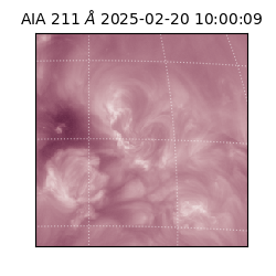 saia - 2025-02-20T10:00:09.629000