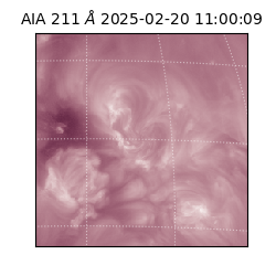 saia - 2025-02-20T11:00:09.630000