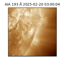 saia - 2025-02-20T03:00:04.843000
