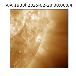 saia - 2025-02-20T08:00:04.843000