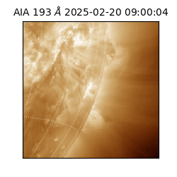 saia - 2025-02-20T09:00:04.843000