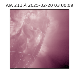 saia - 2025-02-20T03:00:09.625000