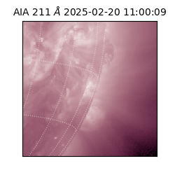 saia - 2025-02-20T11:00:09.630000