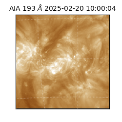 saia - 2025-02-20T10:00:04.843000