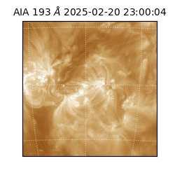 saia - 2025-02-20T23:00:04.843000
