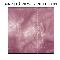 saia - 2025-02-20T11:00:09.630000