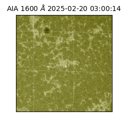 saia - 2025-02-20T03:00:14.125000