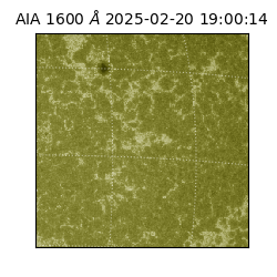 saia - 2025-02-20T19:00:14.125000