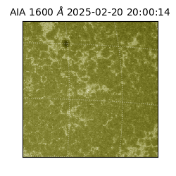 saia - 2025-02-20T20:00:14.125000