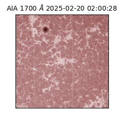 saia - 2025-02-20T02:00:28.748000