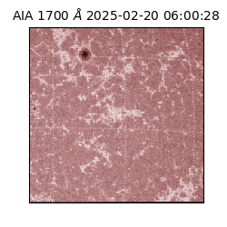 saia - 2025-02-20T06:00:28.717000