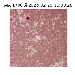 saia - 2025-02-20T11:00:28.717000