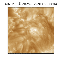 saia - 2025-02-20T09:00:04.843000