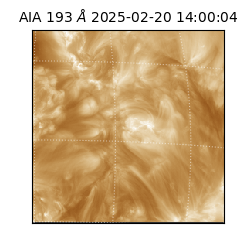 saia - 2025-02-20T14:00:04.843000