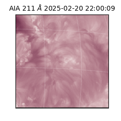 saia - 2025-02-20T22:00:09.630000