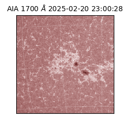 saia - 2025-02-20T23:00:28.717000