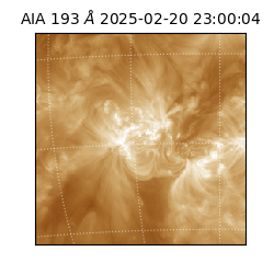 saia - 2025-02-20T23:00:04.843000