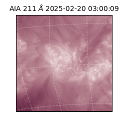 saia - 2025-02-20T03:00:09.625000