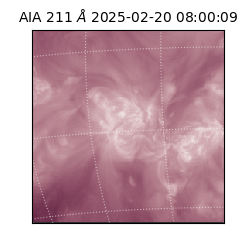 saia - 2025-02-20T08:00:09.630000