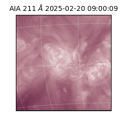 saia - 2025-02-20T09:00:09.630000